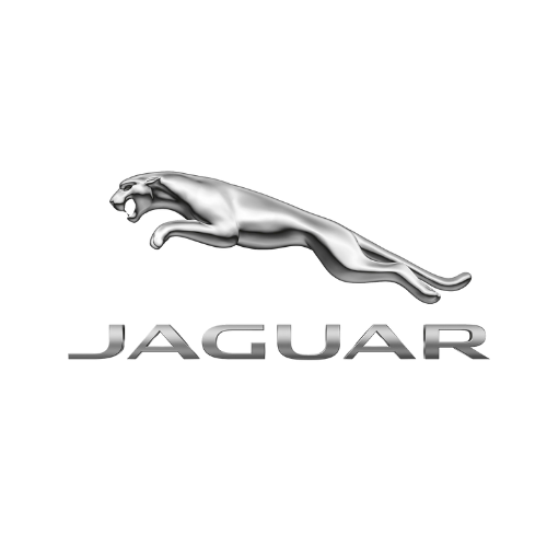 AutoSock is recognized and approved according to internal standards of Jaguar
